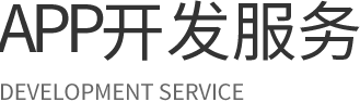 APP定制开发